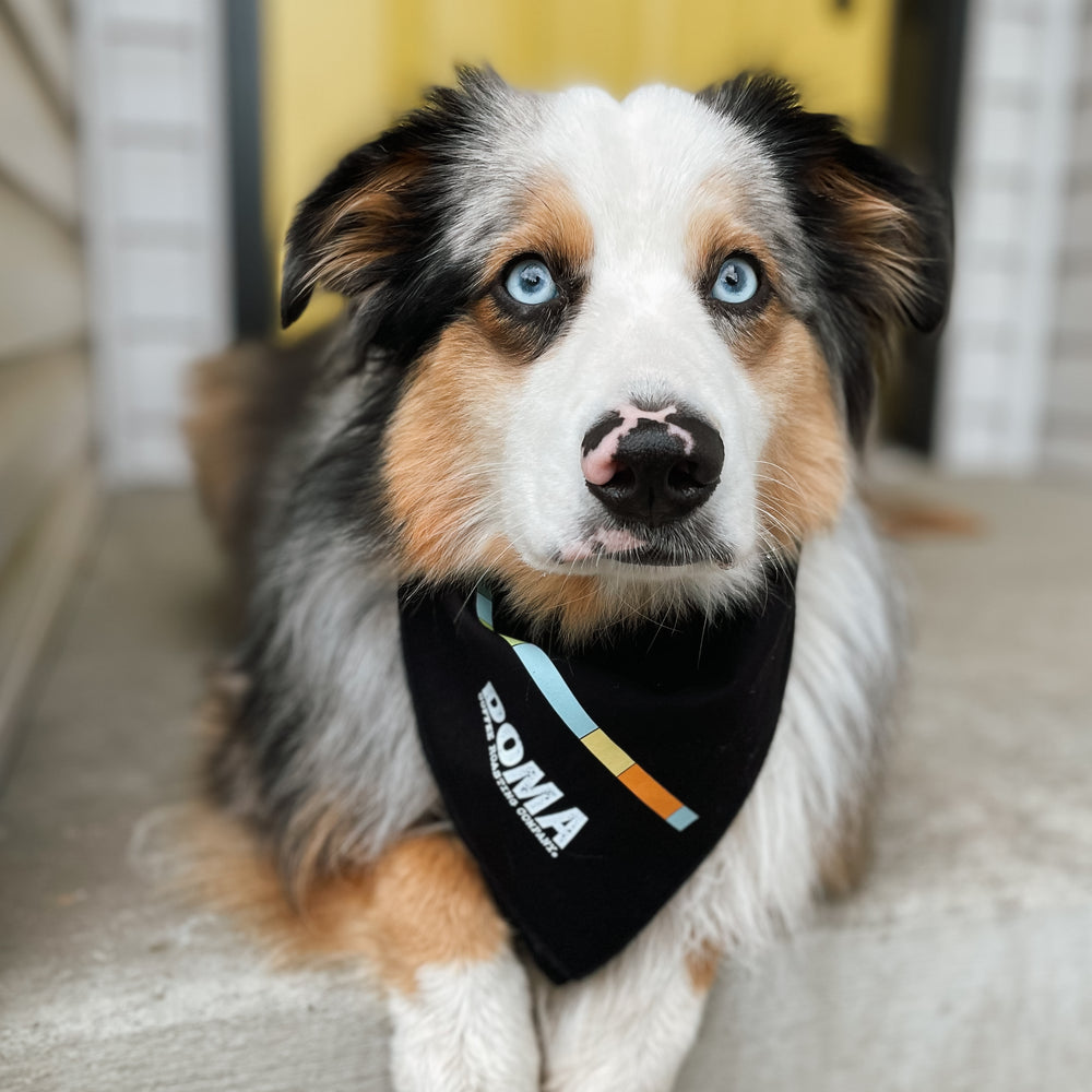 
                  
                    DOMA Tile Bandana
                  
                