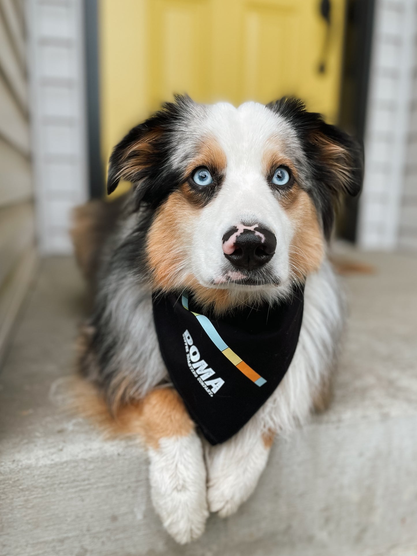 
                  
                    DOMA Tile Bandana
                  
                